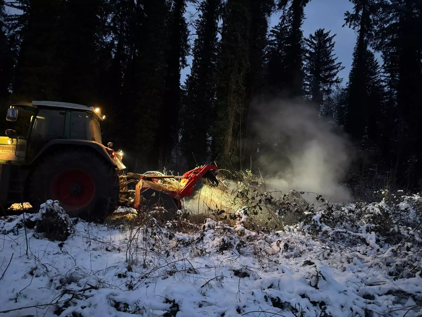 Forstmulchen, Firma Meier, Flächenpflege, Vorarlberg, Tirol, allgäu