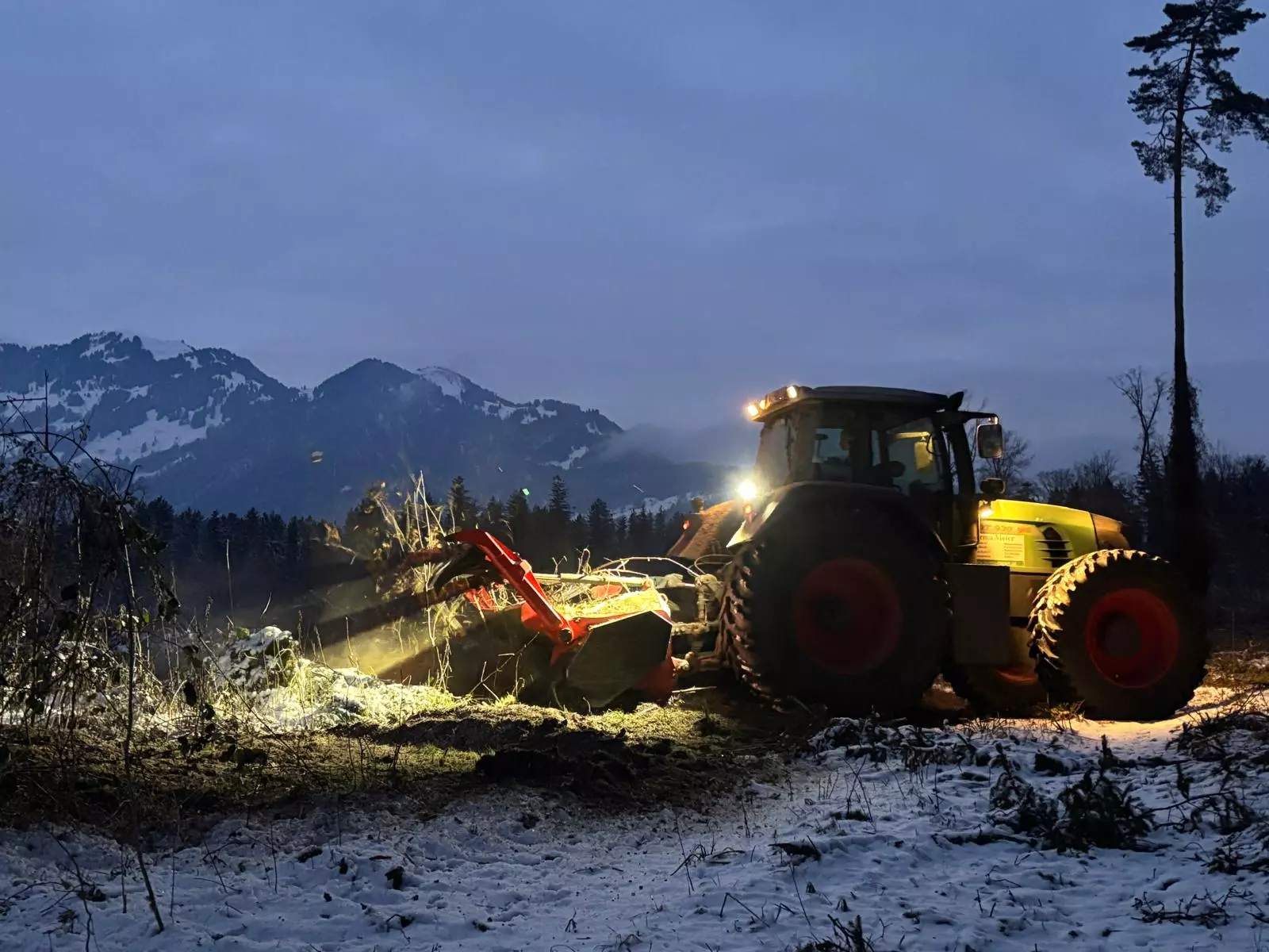 Forstmulchen, Firma Meier, Flächenpflege, Vorarlberg, Tirol, allgäu