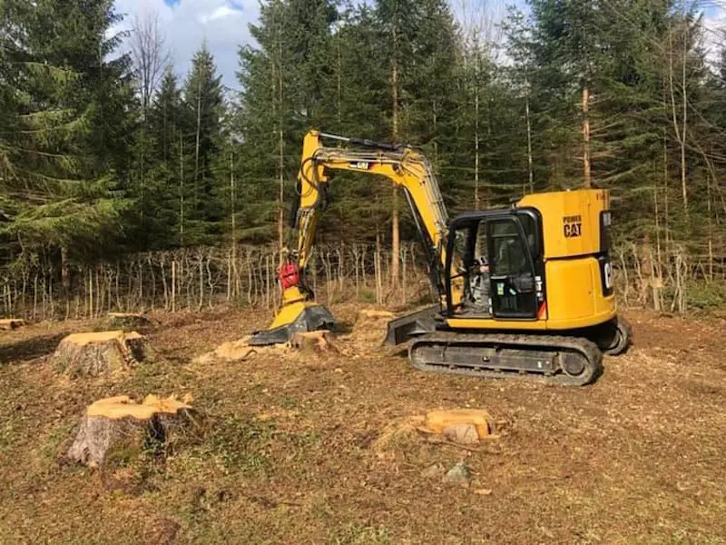 Firma Meier, Feldkirch, Werkstatt, Fuhrpark, Leistungen