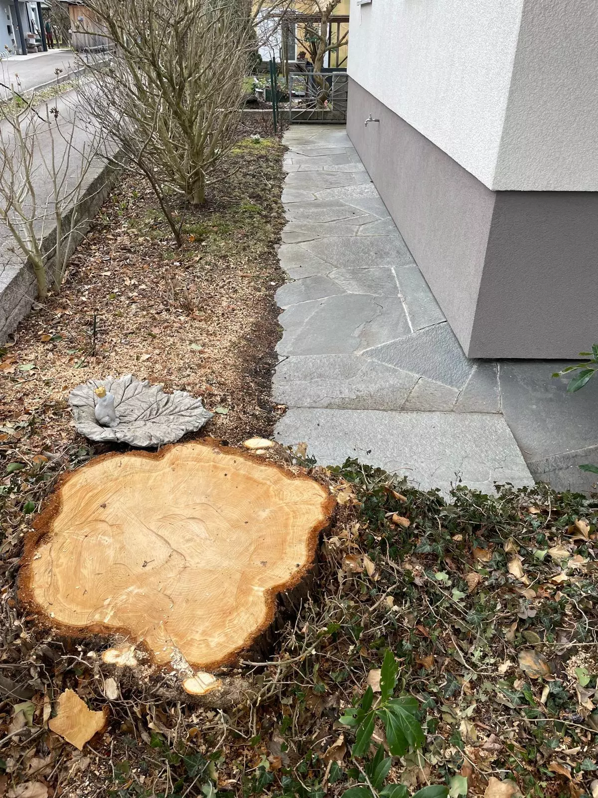 Stockfräsen, Firma Meier, Feldkirch