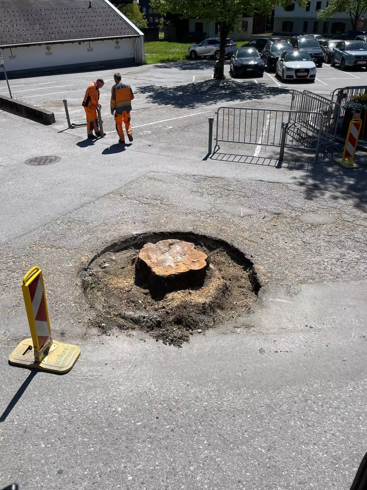 Stockfräsen, Firma Meier, Feldkirch