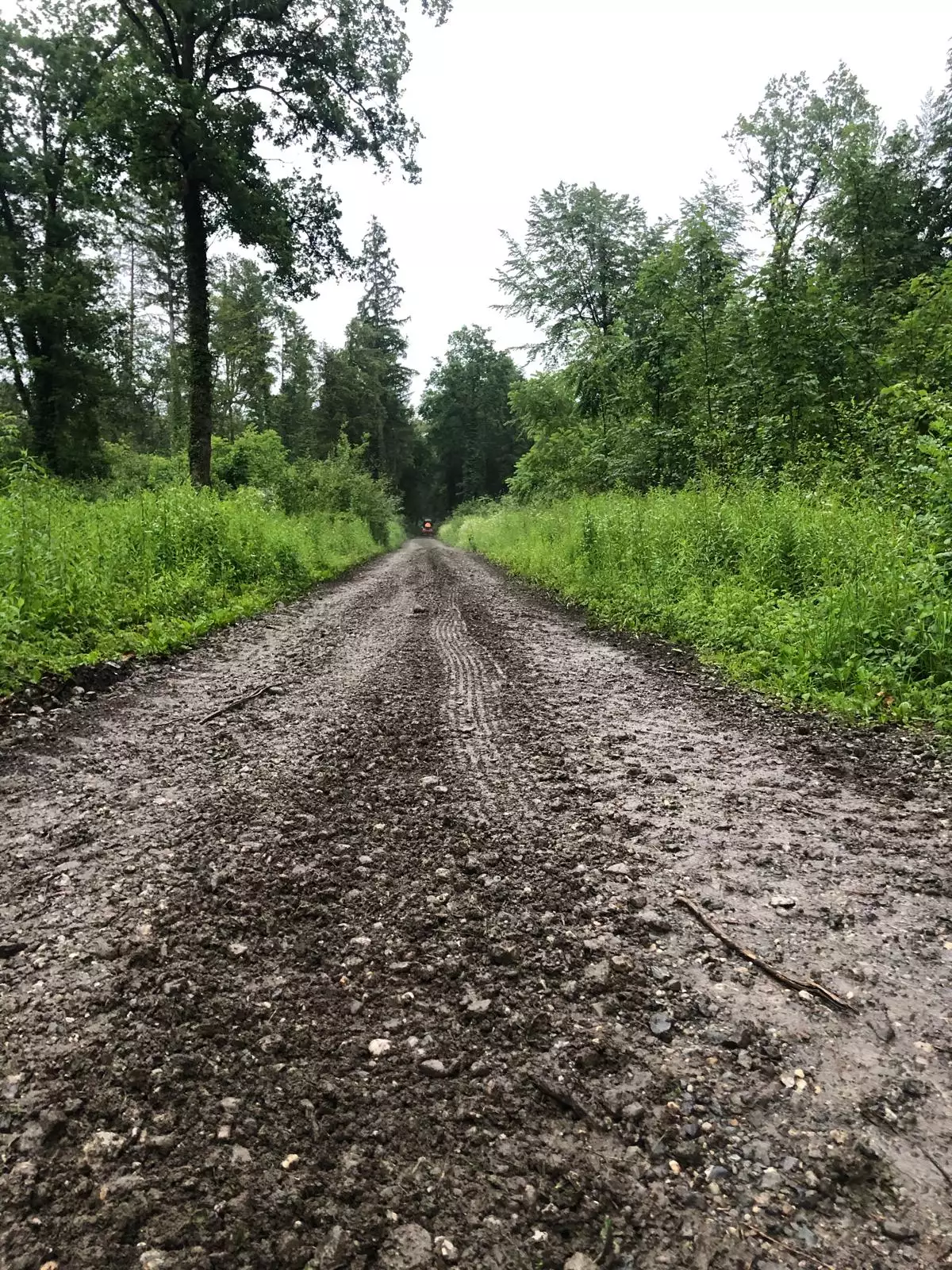 Wegsanierung, Wegpflege, Ausbesserung Schlaglöcher, instandsetzung nach Witterung und Unwetterschäden, Firma Meier Vorarlberg