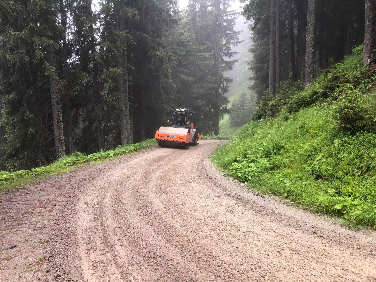 Wegsanierung, Wegpflege, Ausbesserung Schlaglöcher, instandsetzung nach Witterung und Unwetterschäden, Firma Meier Vorarlberg