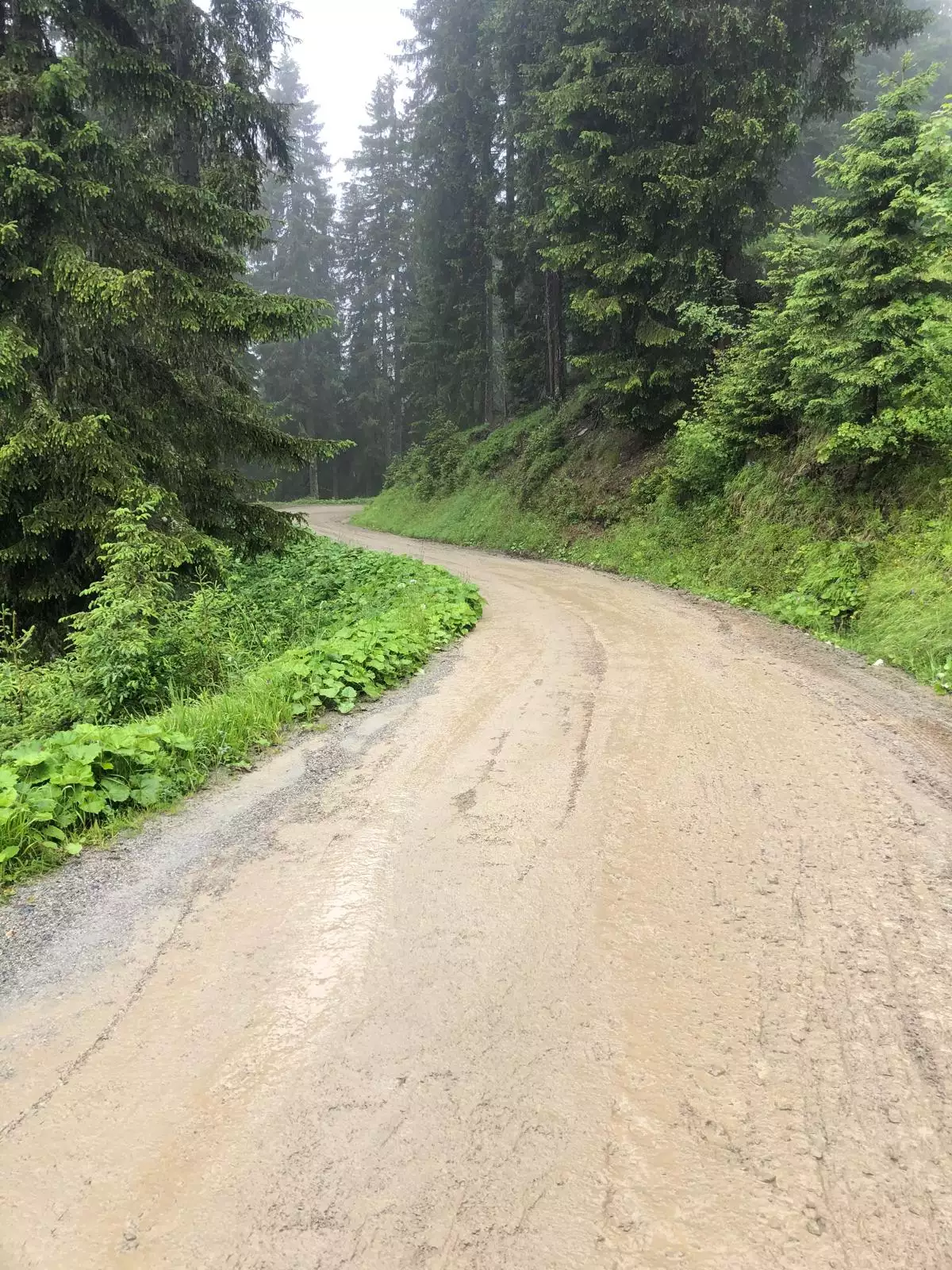 Wegsanierung, Wegpflege, Ausbesserung Schlaglöcher, instandsetzung nach Witterung und Unwetterschäden, Firma Meier Vorarlberg
