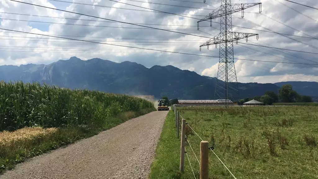Wegsanierung, Wegpflege, Ausbesserung Schlaglöcher, instandsetzung nach Witterung und Unwetterschäden, Firma Meier Vorarlberg