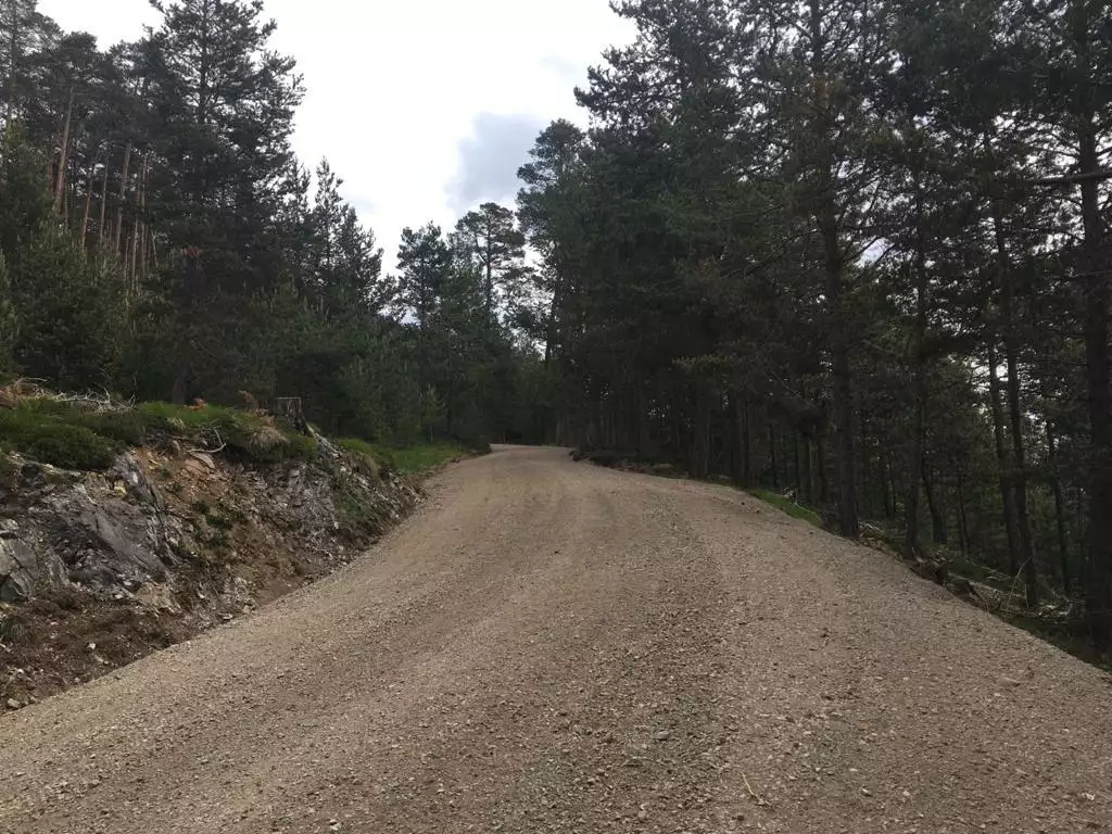 Wegsanierung, Wanderwege, Alpwege, Güterwege, Wegsanierung, Firma Meier, Vorarlberg, Tirol, Allgäu